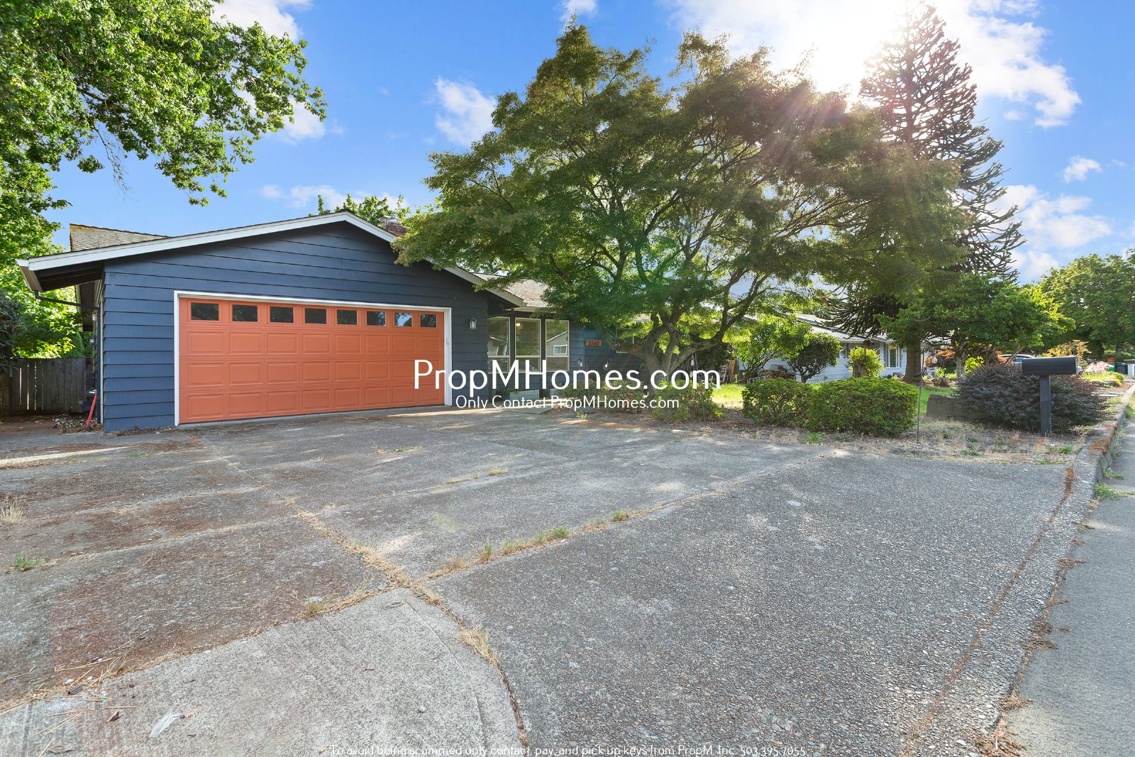 Updated Three Bedroom Home in Hillsboro w/ Sunroom! property image
