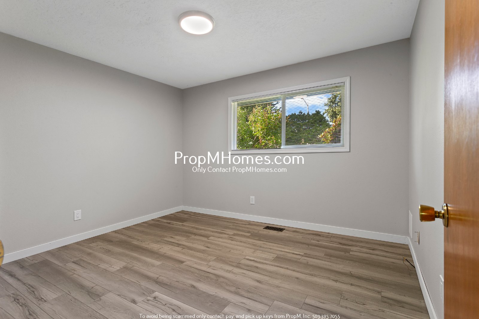 Updated Three Bedroom Home in Hillsboro w/ Sunroom! property image
