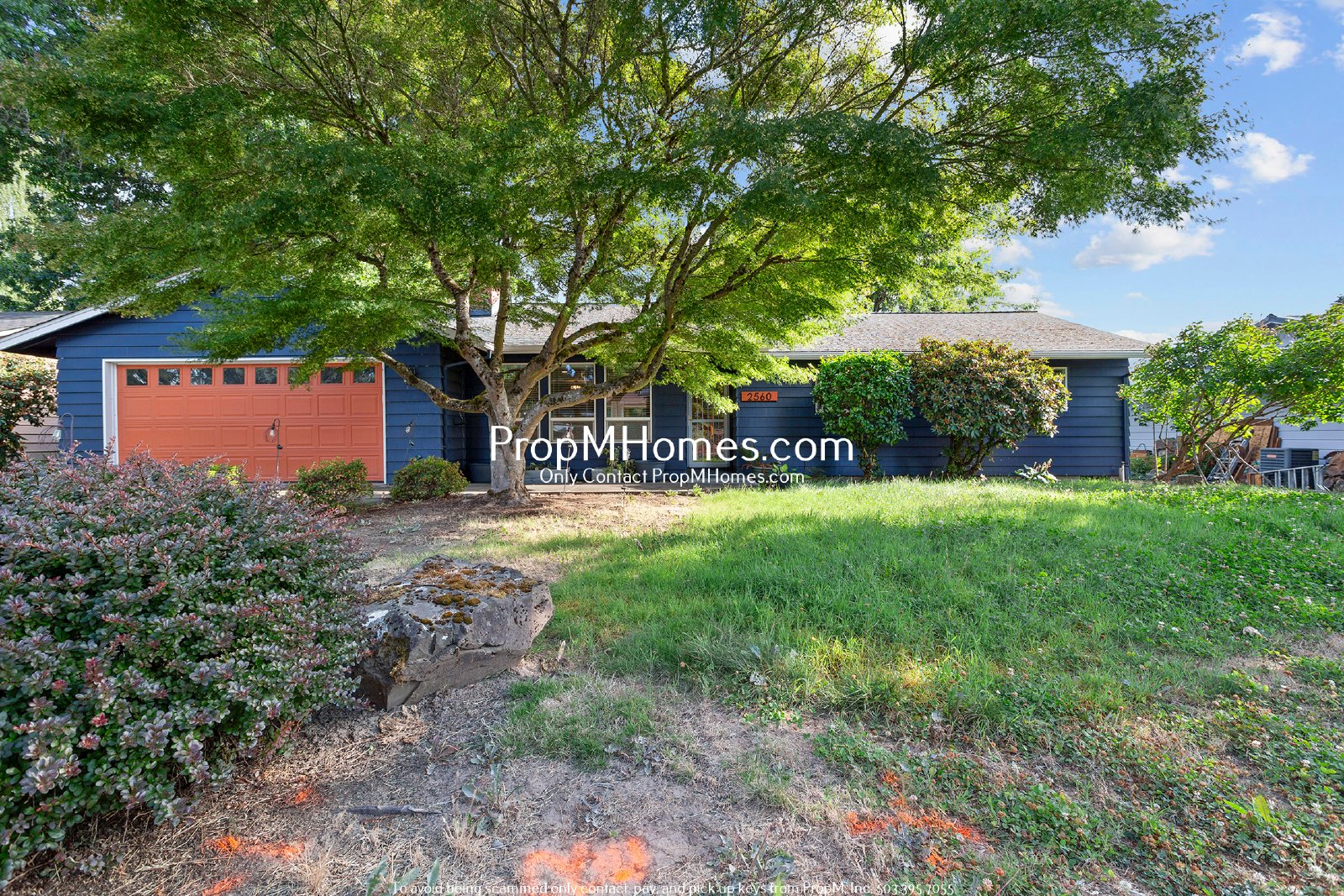 Updated Three Bedroom Home in Hillsboro w/ Sunroom! property image
