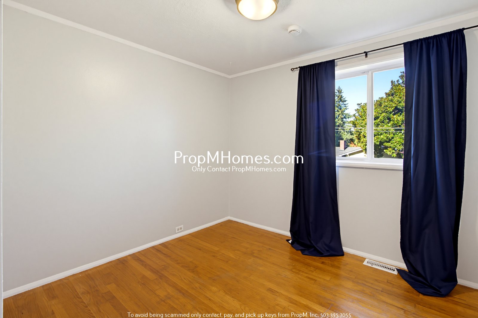 Charming Four Bedroom Home in West Linn - Landscaping Included! property image