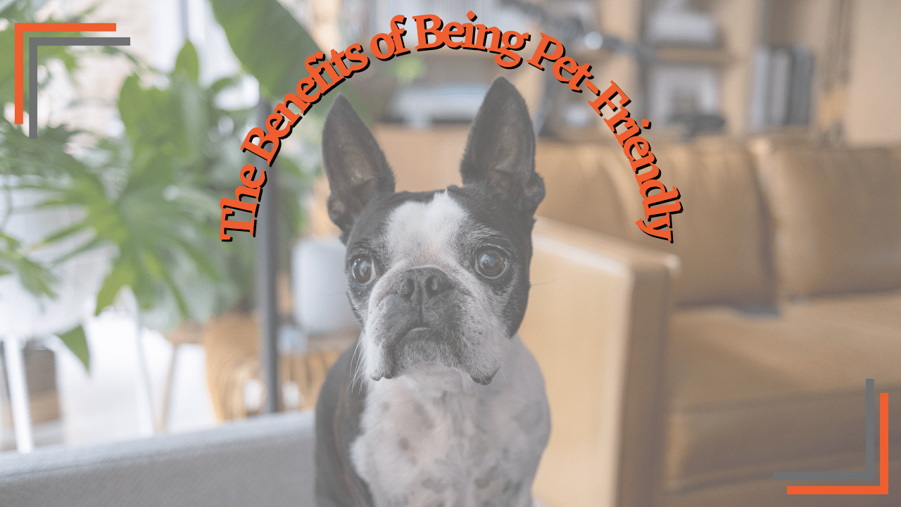 The Benefits of Being Pet-Friendly for Portland Rental Property Owners - Article Banner