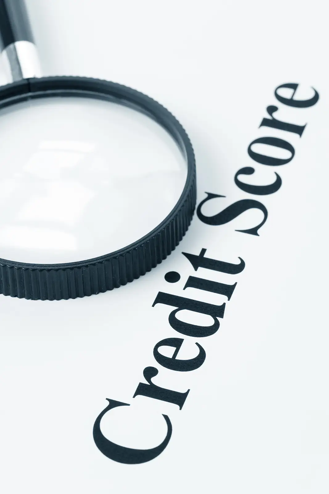 Credit Scores vs Rental History: What Matters More for Screening