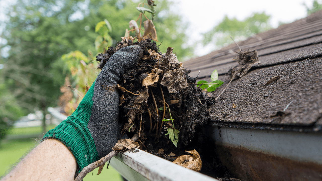 cleaning your gutters